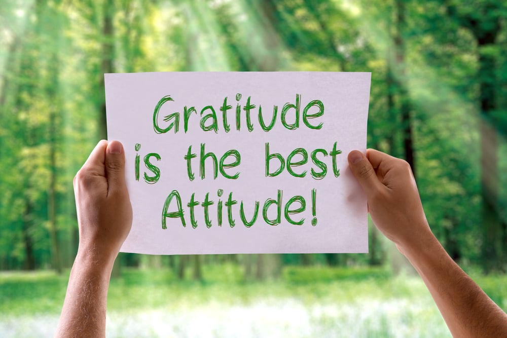 Thanksgiving and The Power of Gratitude Thanksgiving and The Power of Gratitude